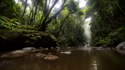 Untouched Wonders of the Rainforest An Animal Photographer's Dream