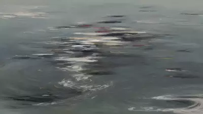 Serene Chaos Lake Meets Drone in Kinetic Art Exploration