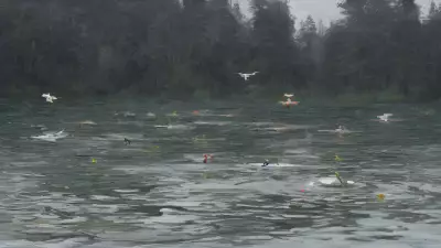 Serene Chaos Lake Meets Drone in Kinetic Art Exploration