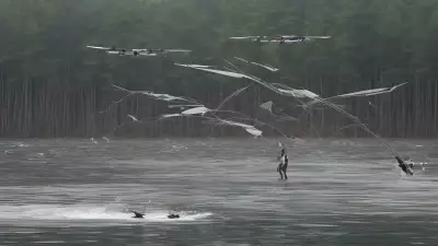 Serene Chaos Lake Meets Drone in Kinetic Art Exploration