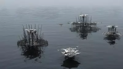 Serene Chaos Lake Meets Drone in Kinetic Art Exploration