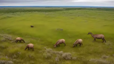 Marine Magic Capturing the Beauty of Mammals in Diverse Grasslands
