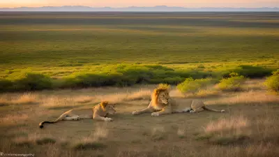 Capturing the Tranquility of the Plains