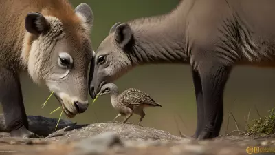 The Delicate Balance Capturing Feeding Moments in Conservation Areas