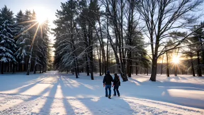 Chasing the Golden Light Professional Winter Photography