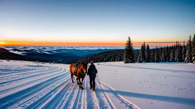 Chasing the Golden Light Professional Winter Photography