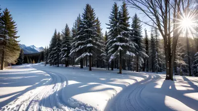 Chasing the Golden Light Professional Winter Photography