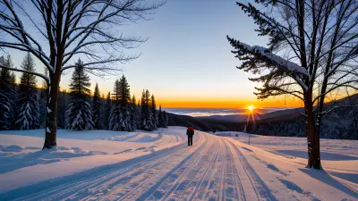 Chasing the Golden Light Professional Winter Photography