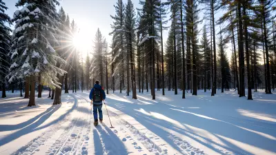 Chasing the Golden Light Professional Winter Photography