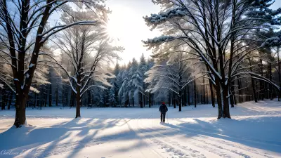 Chasing the Golden Light Professional Winter Photography