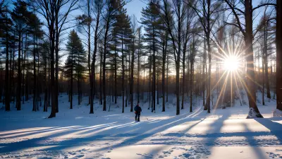 Chasing the Golden Light Professional Winter Photography