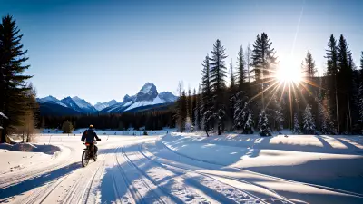 Chasing the Golden Light Professional Winter Photography