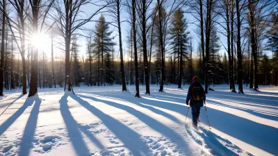 Chasing the Golden Light Professional Winter Photography