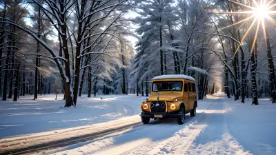 Chasing the Golden Light Professional Winter Photography