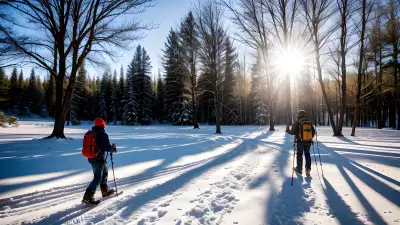 Chasing the Golden Light Professional Winter Photography