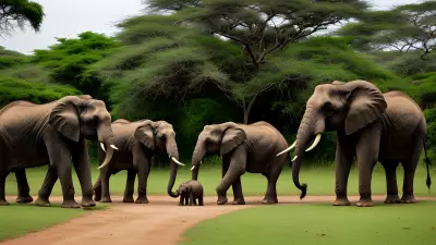 Wildlife in the Botanical Garden An Intimate Encounter with Elephants