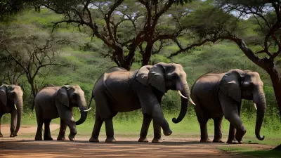 Wildlife in the Botanical Garden An Intimate Encounter with Elephants
