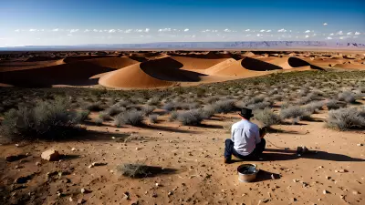 Dynamic Creativity in the Desert