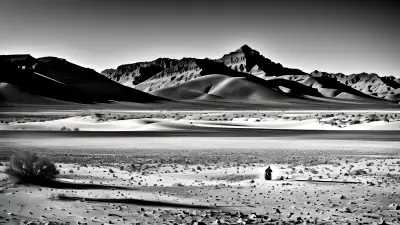 Dynamic Creativity in the Desert