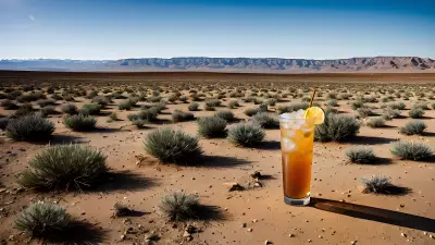 Dynamic Creativity in the Desert