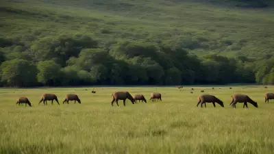 Valley Wildlife and the Prey Dynamic A Photographer's Insight