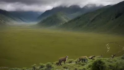 Valley Wildlife and the Prey Dynamic A Photographer's Insight