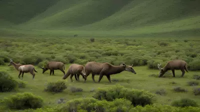 Valley Wildlife and the Prey Dynamic A Photographer's Insight