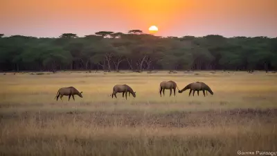 Harmony in the Wild Witnessing Mating Rituals on the Plains