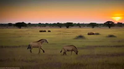 Harmony in the Wild Witnessing Mating Rituals on the Plains