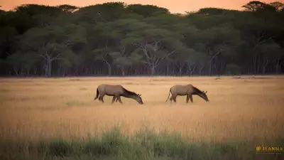 Harmony in the Wild Witnessing Mating Rituals on the Plains