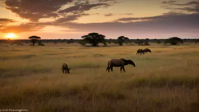 Harmony in the Wild Witnessing Mating Rituals on the Plains