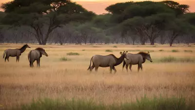 Harmony in the Wild Witnessing Mating Rituals on the Plains