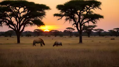Harmony in the Wild Witnessing Mating Rituals on the Plains
