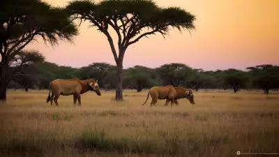 Harmony in the Wild Witnessing Mating Rituals on the Plains