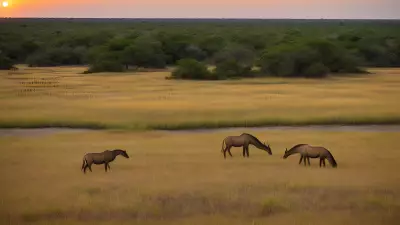 Harmony in the Wild Witnessing Mating Rituals on the Plains