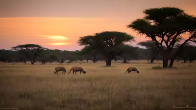 Harmony in the Wild Witnessing Mating Rituals on the Plains