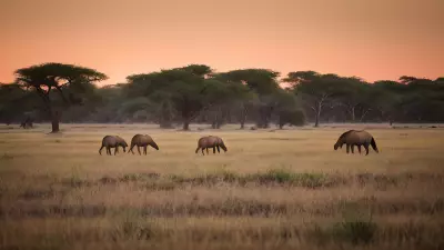 Harmony in the Wild Witnessing Mating Rituals on the Plains