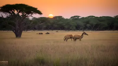 Harmony in the Wild Witnessing Mating Rituals on the Plains