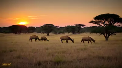 Harmony in the Wild Witnessing Mating Rituals on the Plains
