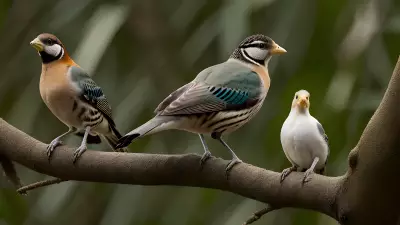 Avian Revelations A Glimpse into the Wild Lives of Birds