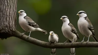 Avian Revelations A Glimpse into the Wild Lives of Birds