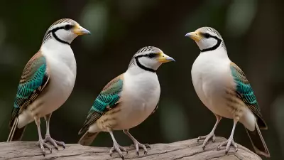 Avian Revelations A Glimpse into the Wild Lives of Birds