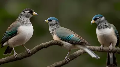 Avian Revelations A Glimpse into the Wild Lives of Birds