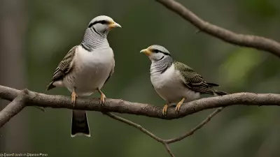 Avian Revelations A Glimpse into the Wild Lives of Birds