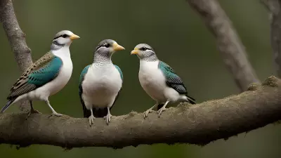 Avian Revelations A Glimpse into the Wild Lives of Birds