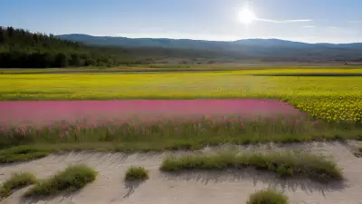 Vivid Scenes of the Ocean Full of Energy and Embracing the Colorful Mist Enable Wanderers to Dance Trip hop without Worrying about Reality