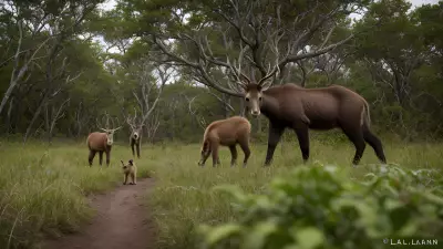 Capturing the Diverse Life of Tim Laman's Young Protagonists