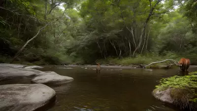 Capturing the Diverse Life of Tim Laman's Young Protagonists