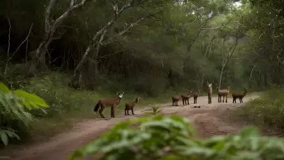 Capturing the Diverse Life of Tim Laman's Young Protagonists