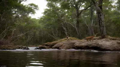 Capturing the Diverse Life of Tim Laman's Young Protagonists